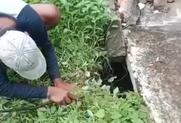 Anak Ditemukan Meninggal Didalam Septictank